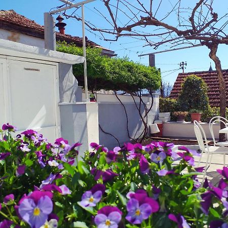 Apartman Kristina Capljina Bagian luar foto